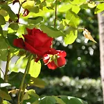 מלון דירות Casa Lari סטרסה
