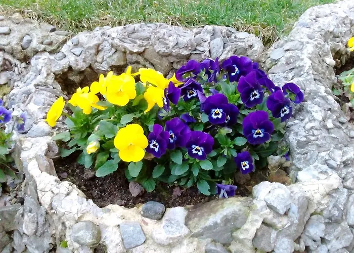 Casa Lari Aparthotel 4*